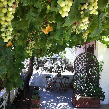 מסניה B&B Villa Lucia מראה חיצוני תמונה
