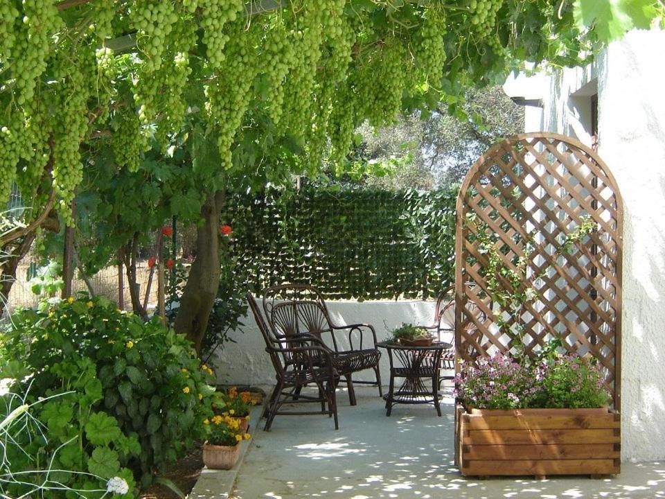 מסניה B&B Villa Lucia מראה חיצוני תמונה