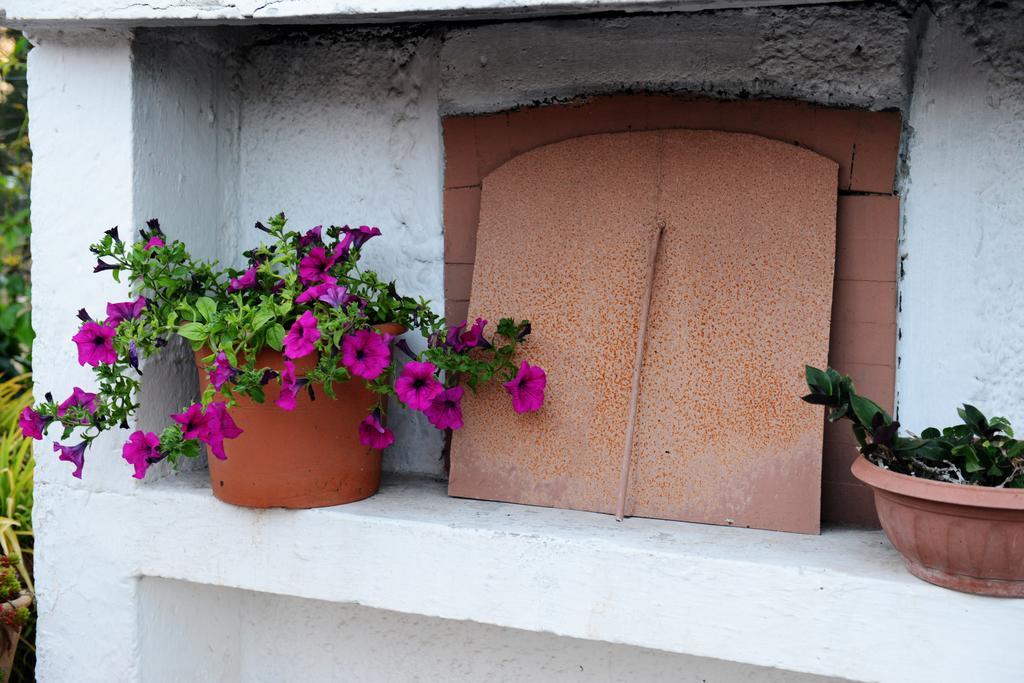 מסניה B&B Villa Lucia מראה חיצוני תמונה