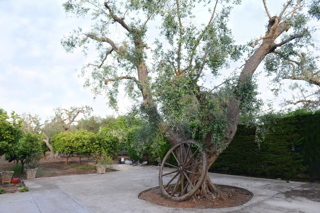 מסניה B&B Villa Lucia מראה חיצוני תמונה