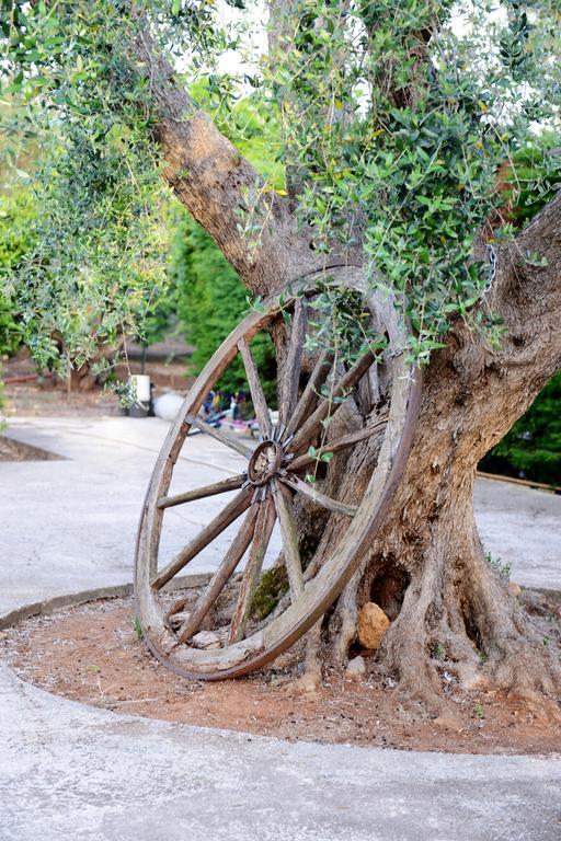 מסניה B&B Villa Lucia מראה חיצוני תמונה