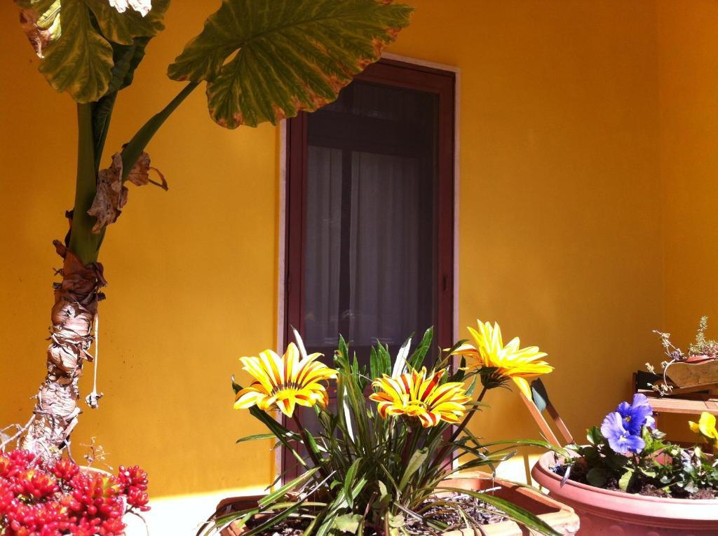 מסניה B&B Villa Lucia מראה חיצוני תמונה